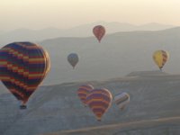 DSC01517