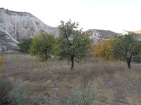 DSC01546