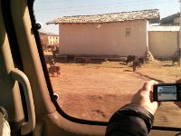 20150420 165041  Yaks