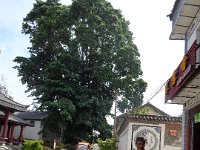 DSC00832
