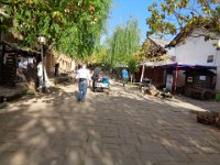 DSC00855