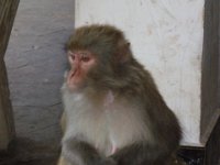 DSC00878