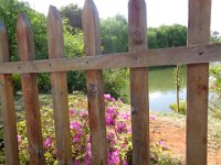 DSC00903