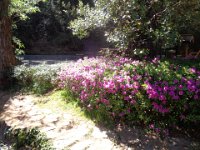 DSC00905