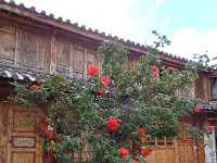 DSC00927