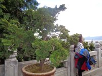 DSC00937