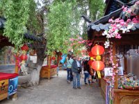 DSC00941