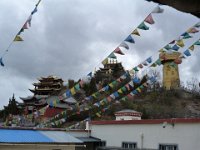 P1050078