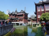 P1050252  Yu gardens