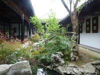 P1050291