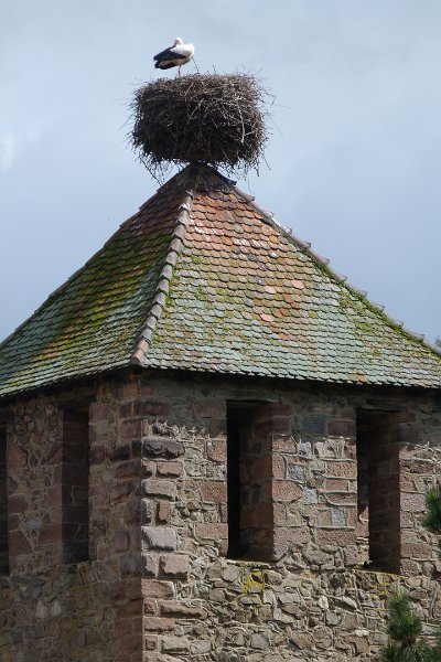 P1000772