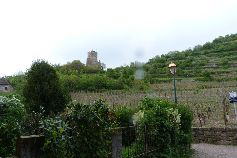 P1000804