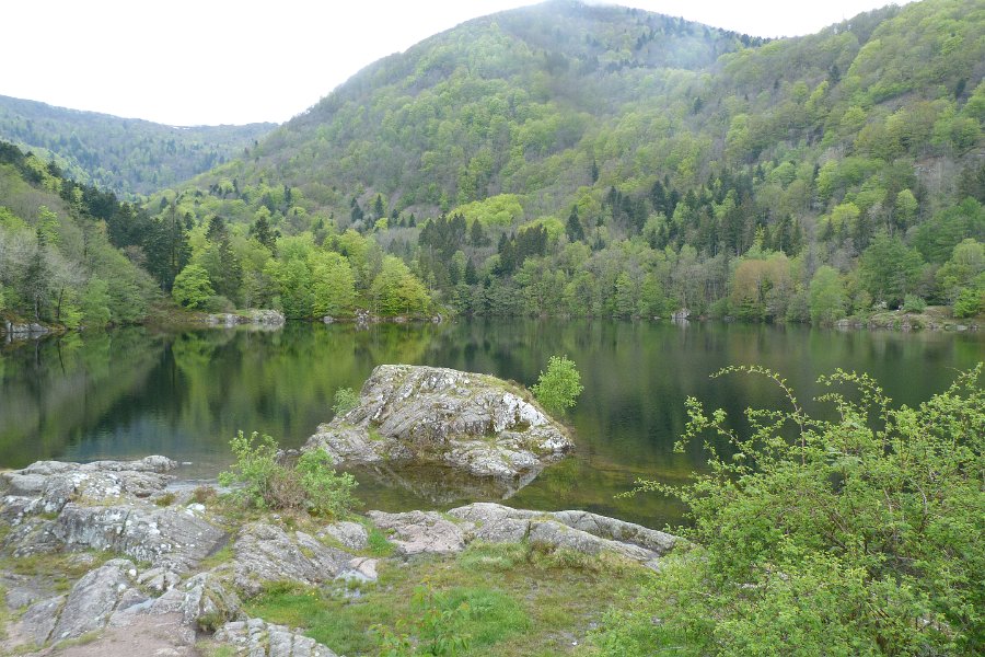 P1000811