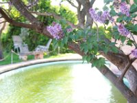 1979737 754251877940775 7751135766264558295 n  San Juan Evangelista, owned by Pedro Corrons