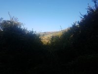 20190919 101706