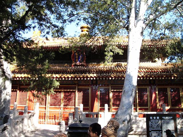 P1020838.JPG