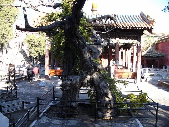 P1020841.JPG