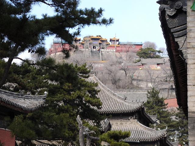 P1030098.JPG