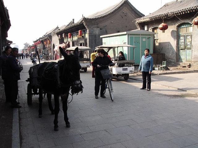 P1030188.JPG