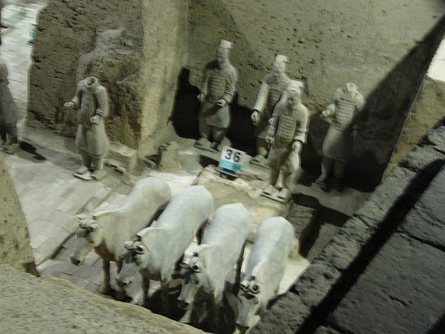 P1030278.JPG