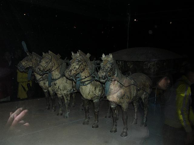 P1030279.JPG
