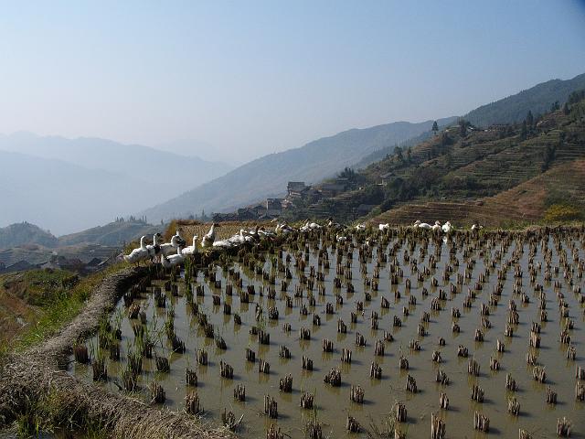 P1030360.JPG
