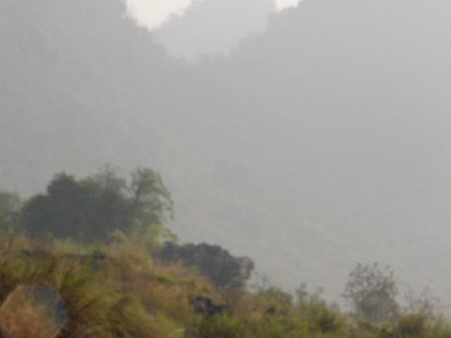 P1030400.JPG