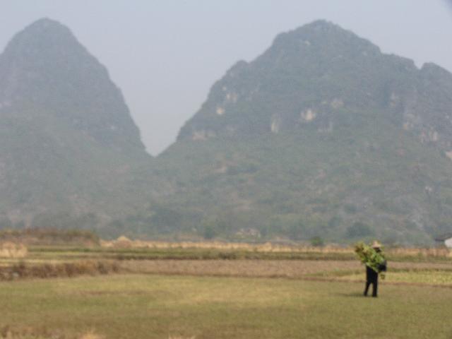 P1030456.JPG