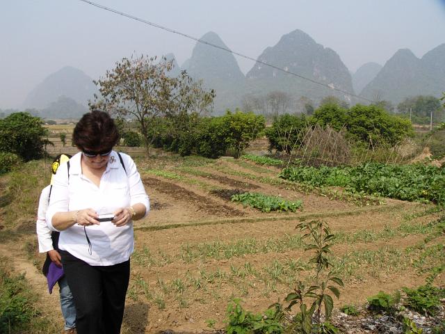 P1030467.JPG