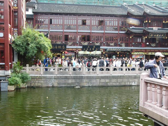 P1030634.JPG