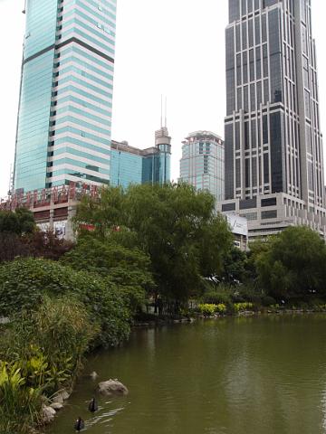 P1030725.JPG
