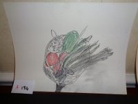 A134