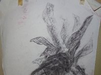 A161