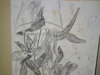 A199