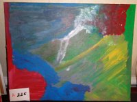 A225