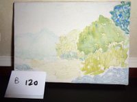 B120