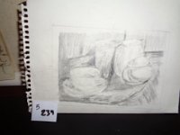 B239