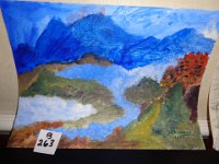 B263