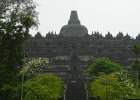 P1010142