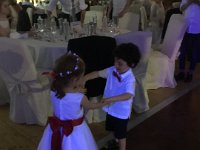 IMG 3078