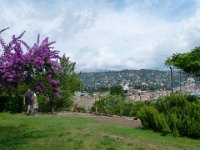 P1280773  Casa degli ulivii, Santa Margherita Ligure