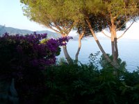 P1280943  the view from the casa degli ulivi