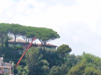 P1290049  casa degli ulivi, santa Margherita Ligure