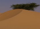 P1010016