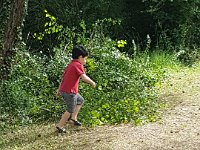 20180711 105446  helping clearing the bushes