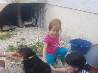 20180711 181923  helping Sasha to overcome her fear of animals