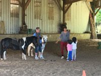 IMG-20180709-WA0001