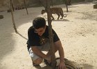 IMG 4334