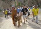 IMG 4356