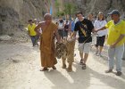 IMG 4357